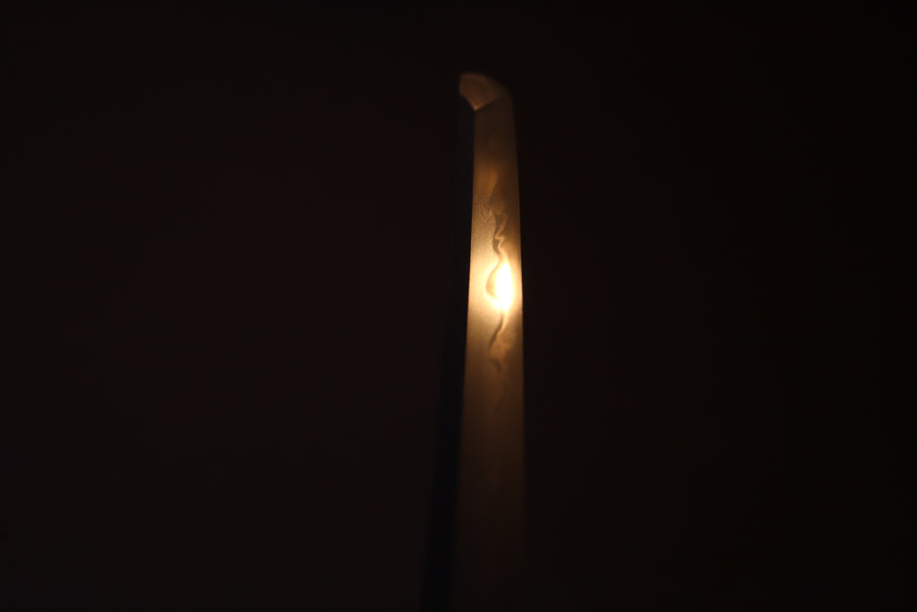 Mumei Omiya katana with double Shirasaya NBTHK Tokubetsu Hozon 73cm Nagasa Bonji Nanbokucho period (14th century) (ON HOLD)